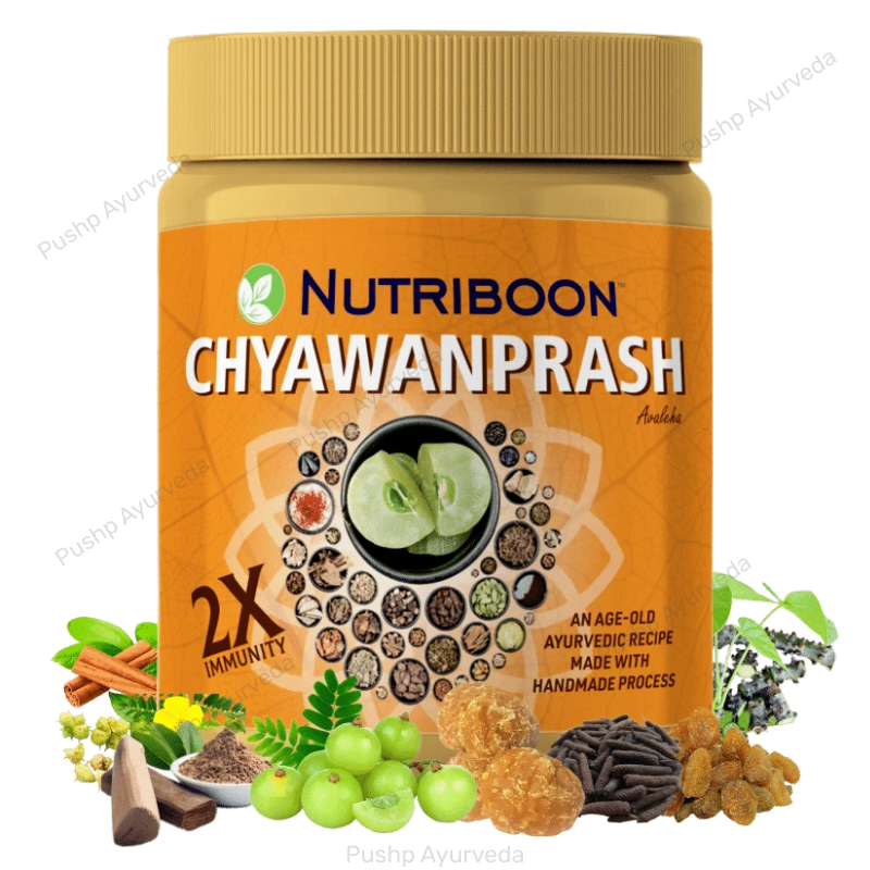 Nutriboon Chyawanprash 500 g | Ayurvedic Immunity and Strength Booster