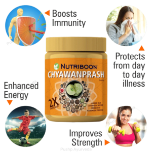 Nutriboon Chyawanprash 500 g | Ayurvedic Immunity and Strength Booster