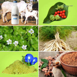 Nutriboon Champs 200g | Daily Nutrition for Growing Kids