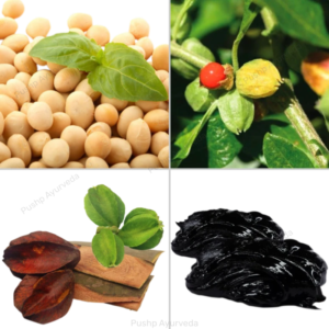 Nutriboon Man's Gold Protein Powder